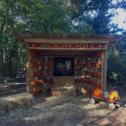 A wooden photo stand stacked with pumpkins and hay bales, with the Freedom Farm logo hanging in the center
