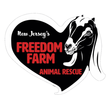 New Jersey's Freedom Farm Animal Rescue
